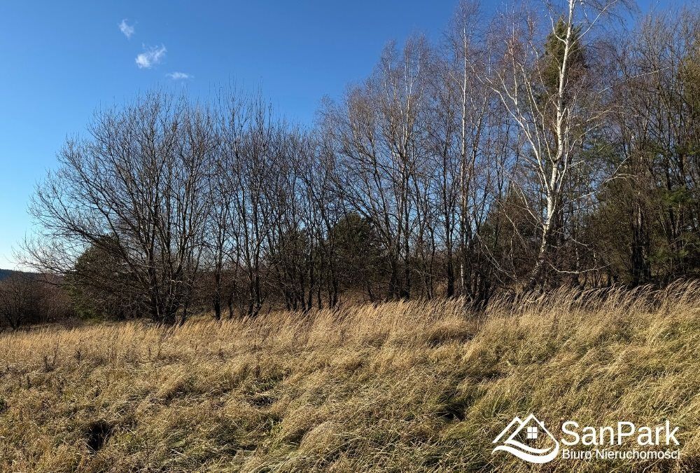 Działka rolna Kuźmina. Zdjęcie 5
