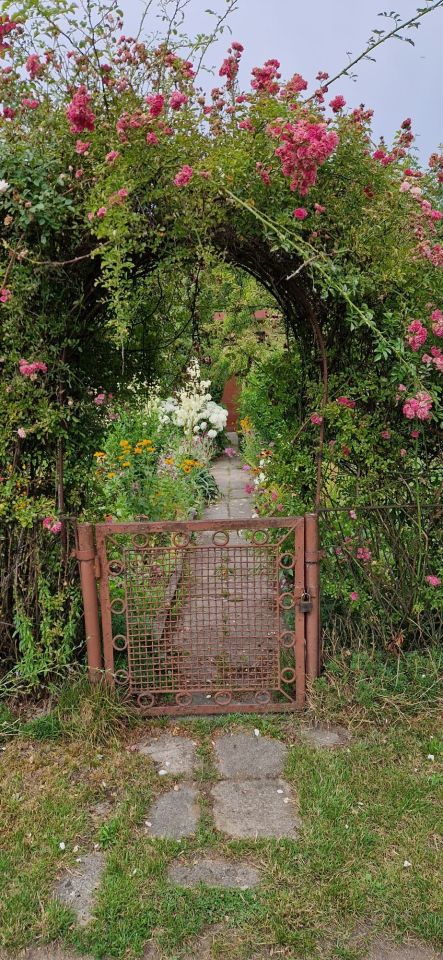 Działka rod Sosnowiec Milowice. Zdjęcie 4