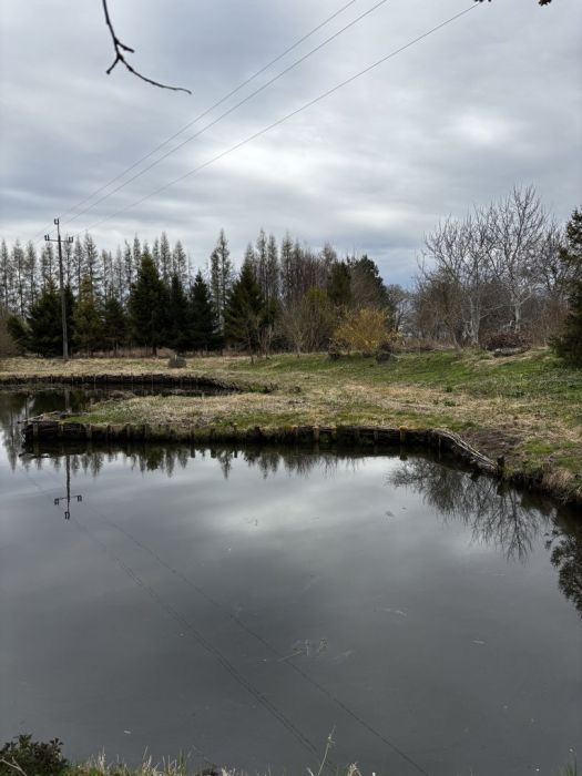 Działka siedliskowa Zdrzewno. Zdjęcie 3