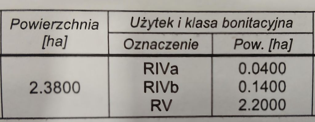 Działka rolna Radojewice. Zdjęcie 2