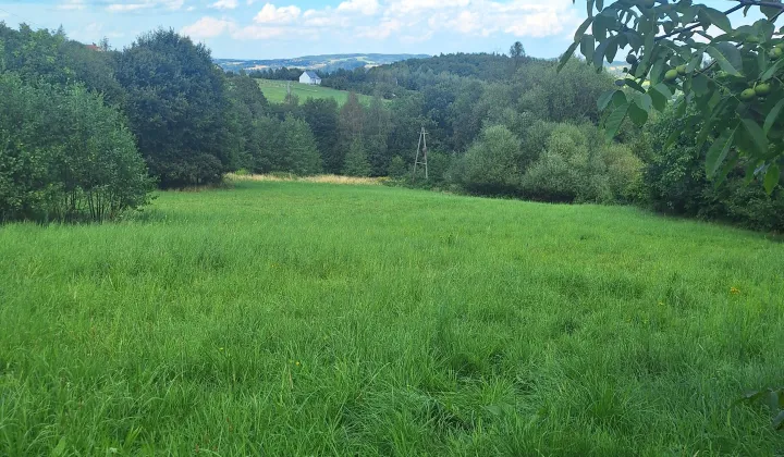 Działka budowlana Gorzeń Górny, Pod Iłowcem