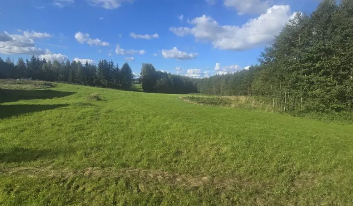 Działka siedliskowa Różaniec