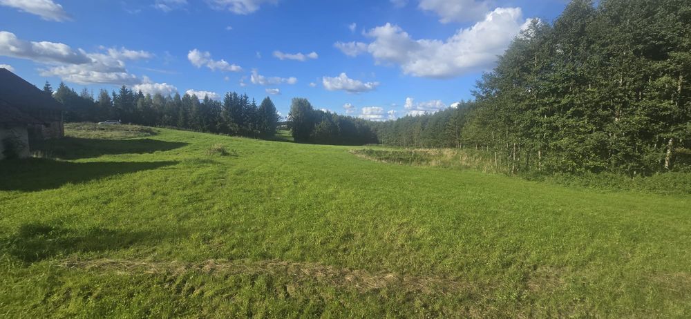 Działka siedliskowa Różaniec