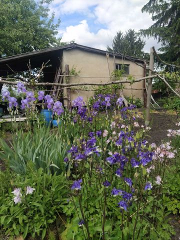 Działka rod Chełm. Zdjęcie 1