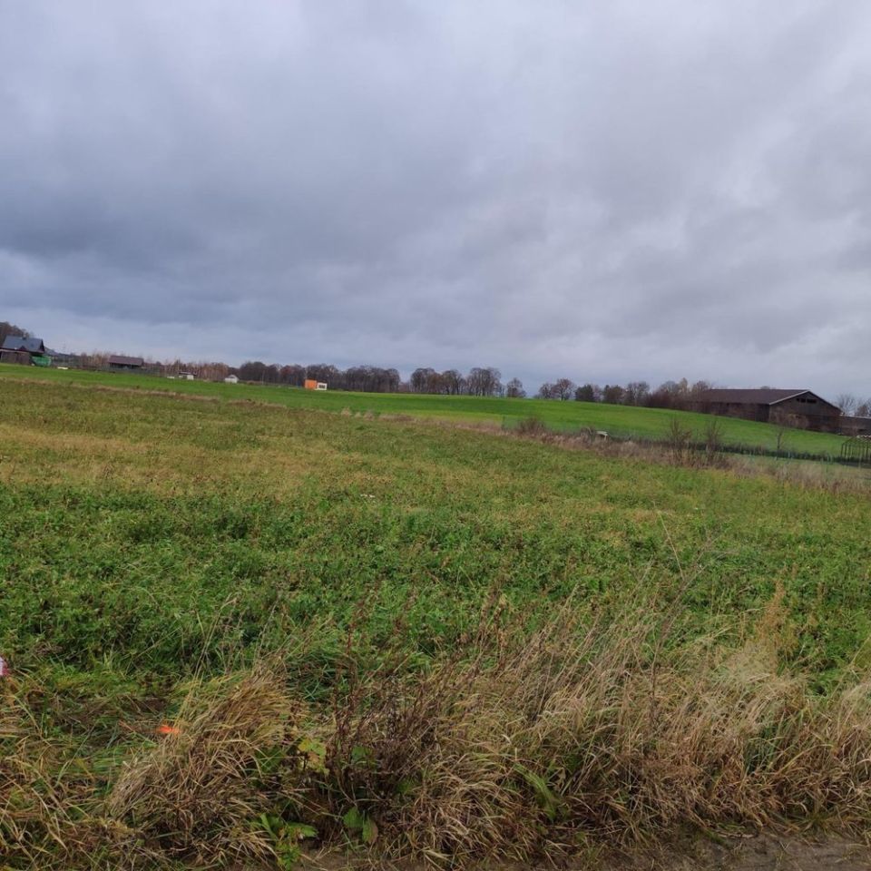 Działka rolno-budowlana Koziki, ul. Spokojna. Zdjęcie 6