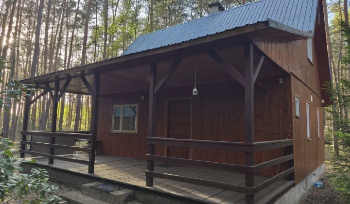 dom letniskowy, 3 pokoje Krajęczyn