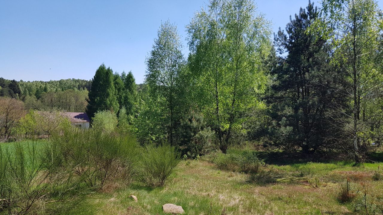 Działka rolno-budowlana Taurów. Zdjęcie 7