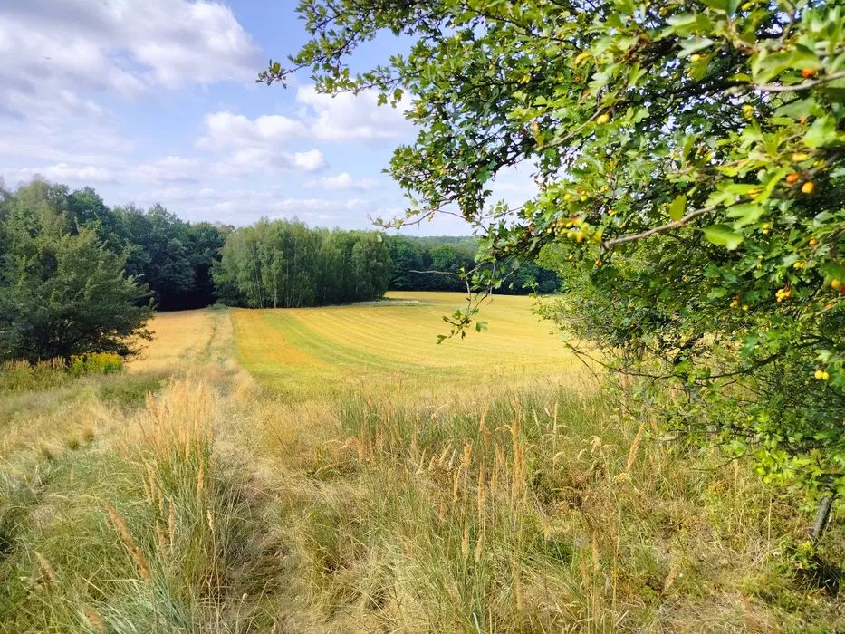 Działka budowlana Łaziska Górne Centrum. Zdjęcie 4