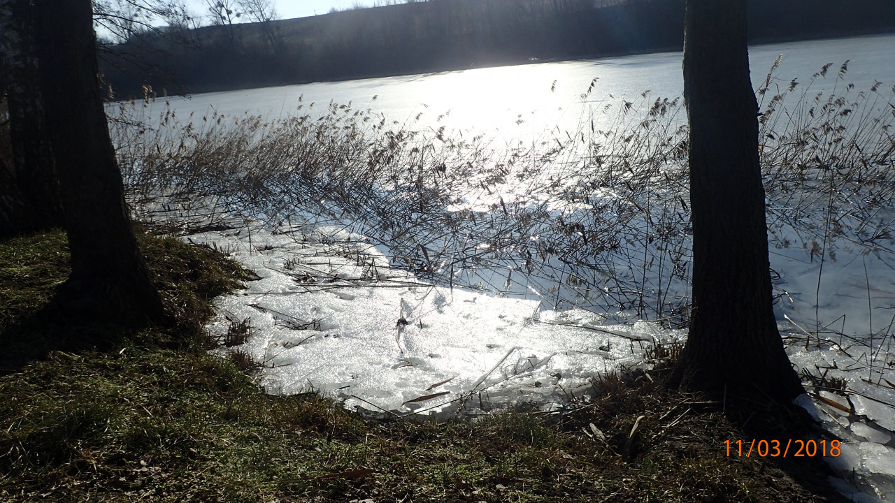 Działka budowlana Jarczechowo. Zdjęcie 8