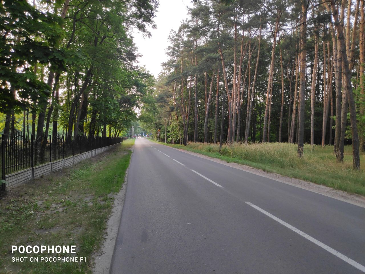 Działka leśna Ruda-Bugaj Bugaj. Zdjęcie 6