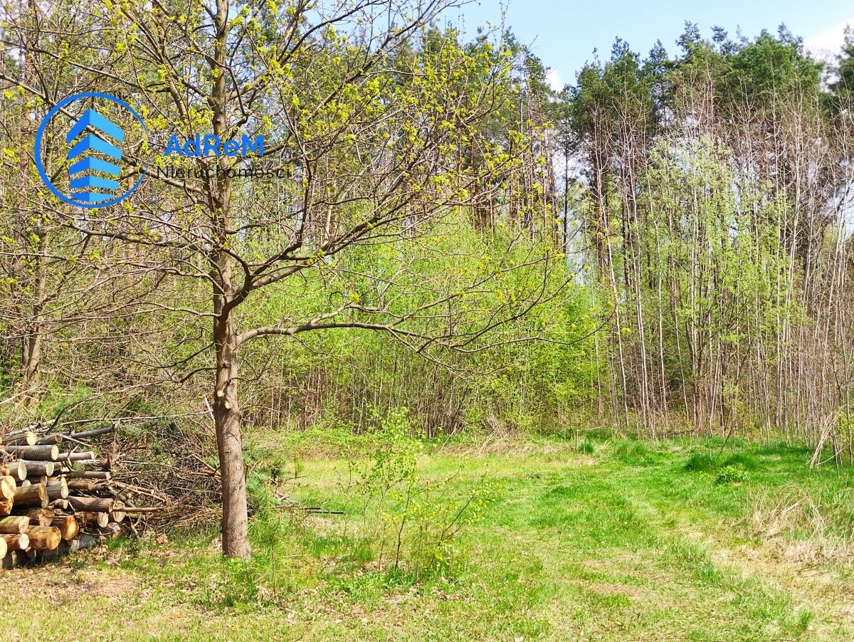 Działka budowlana Koryta. Zdjęcie 2