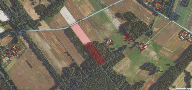 Działka rolna Dobrenice. Zdjęcie 1