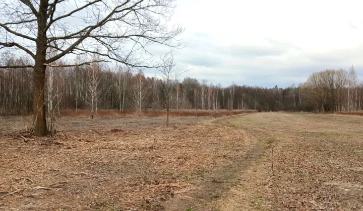 Działka budowlana Koryta, ul. Północna