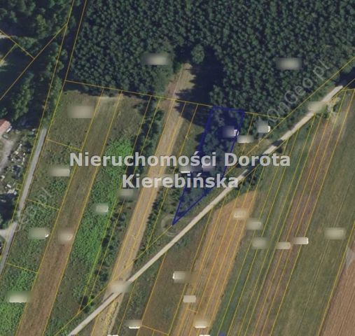 Działka budowlana Lubochnia-Górki. Zdjęcie 1