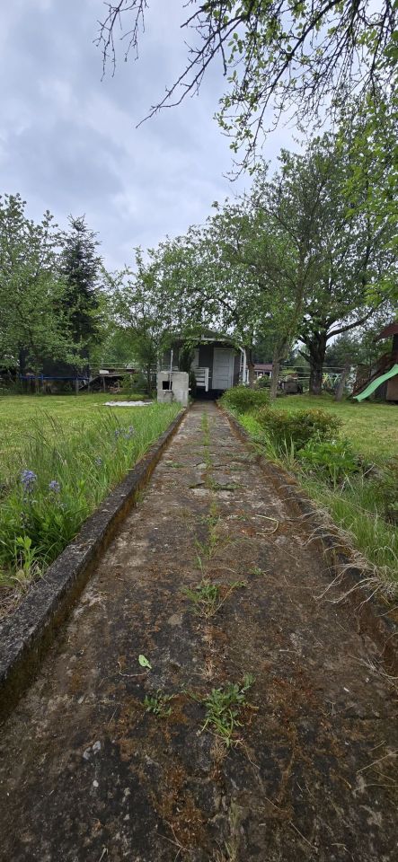 Działka rod Sosnowiec. Zdjęcie 5