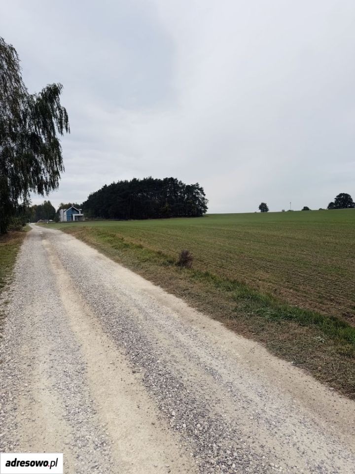 Działka budowlana Nowe Skoszewy. Zdjęcie 4