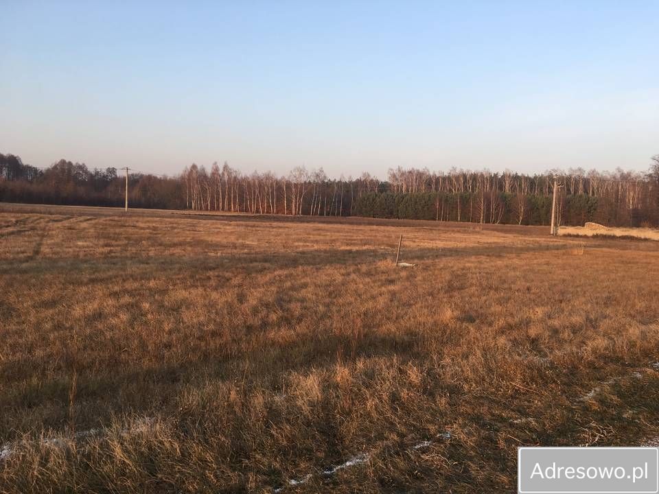 Działka budowlana Holendry Dobrowskie. Zdjęcie 2