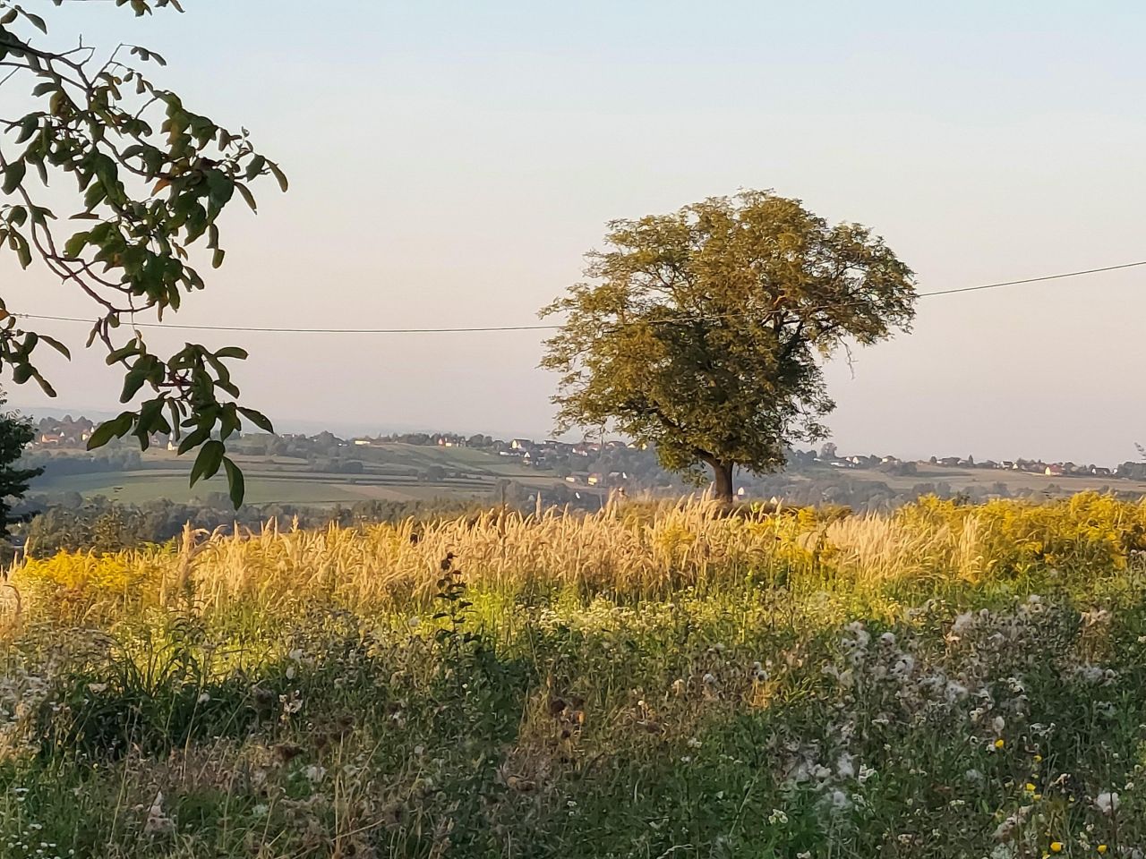 Działka budowlana Łazany. Zdjęcie 38