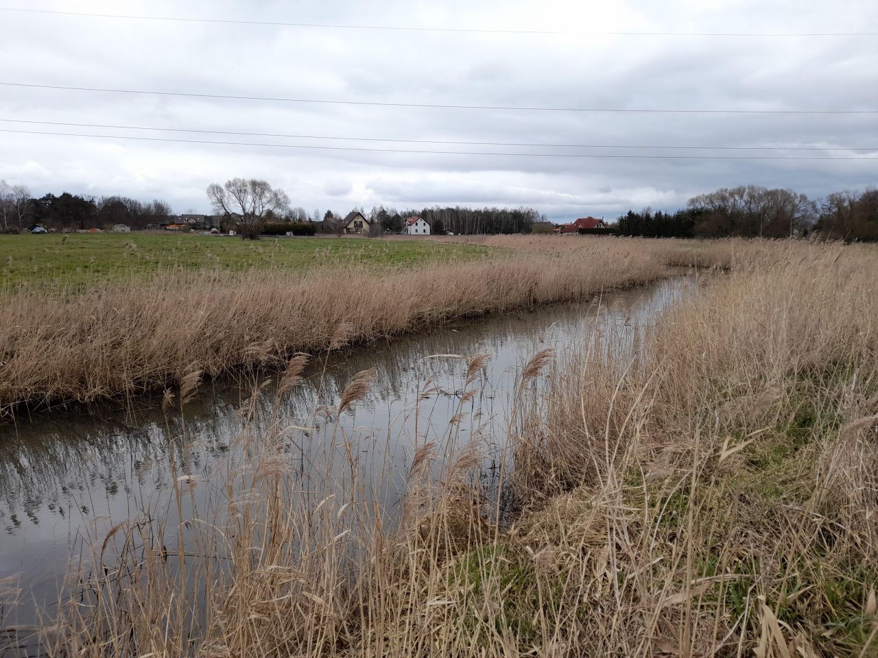 Działka budowlana Nowe Dąbie. Zdjęcie 5