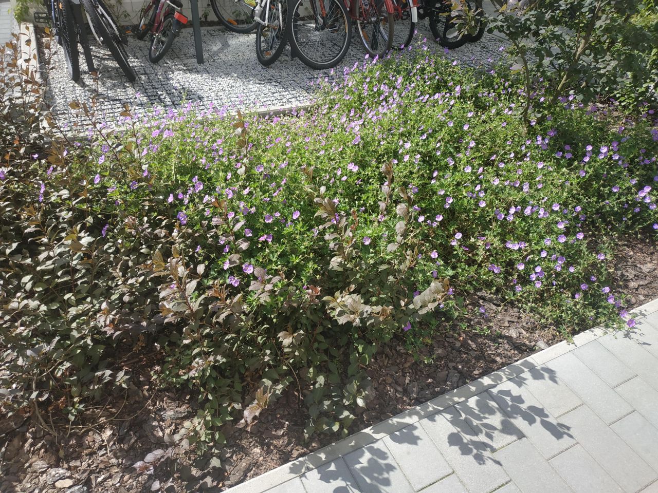 Mieszkanie 4-pokojowe Warszawa Mokotów, ul. Bokserska. Zdjęcie 29