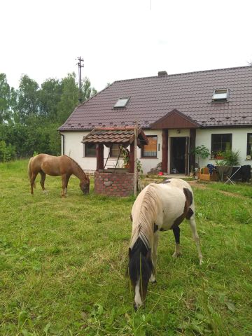 dworek, 6 pokoi Siemyśl, Polna. Zdjęcie 1