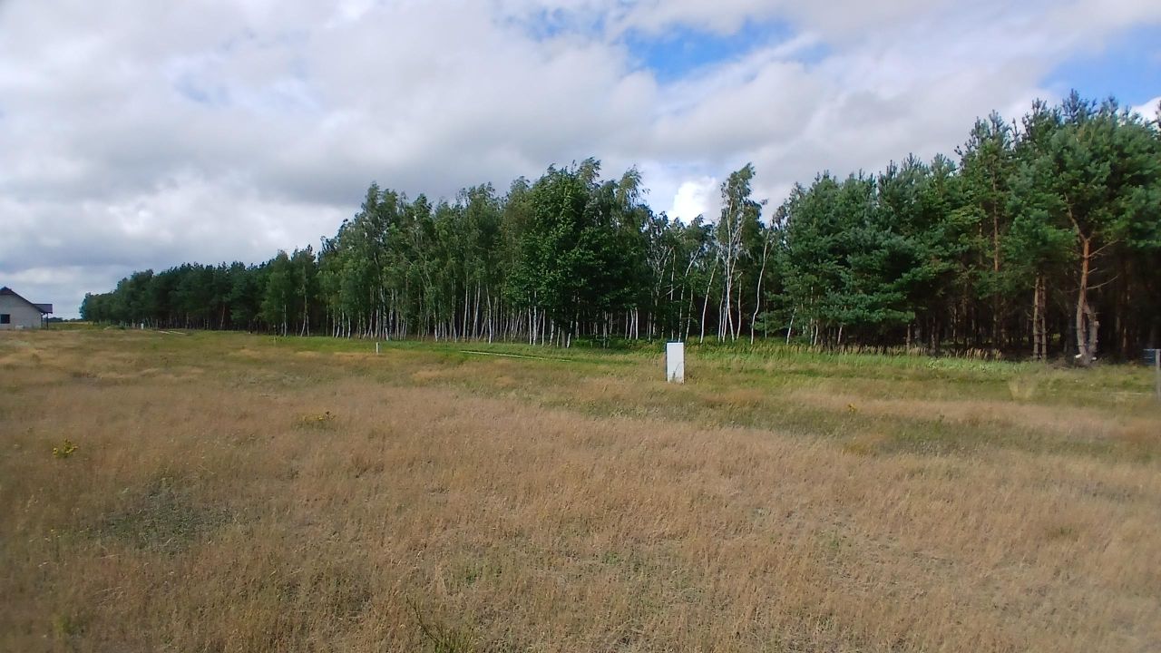 Działka leśna Żydowo. Zdjęcie 6
