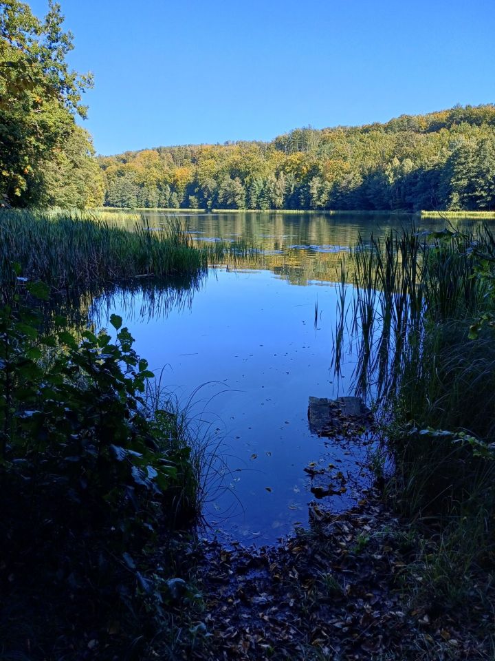 Działka rekreacyjna Przywidz. Zdjęcie 8