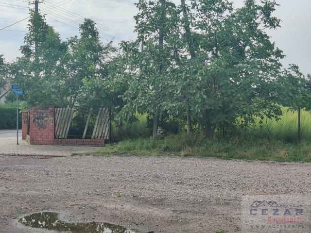 Działka budowlana Mińsk Mazowiecki Nowe Miasto, ul. Nowy Świat. Zdjęcie 5