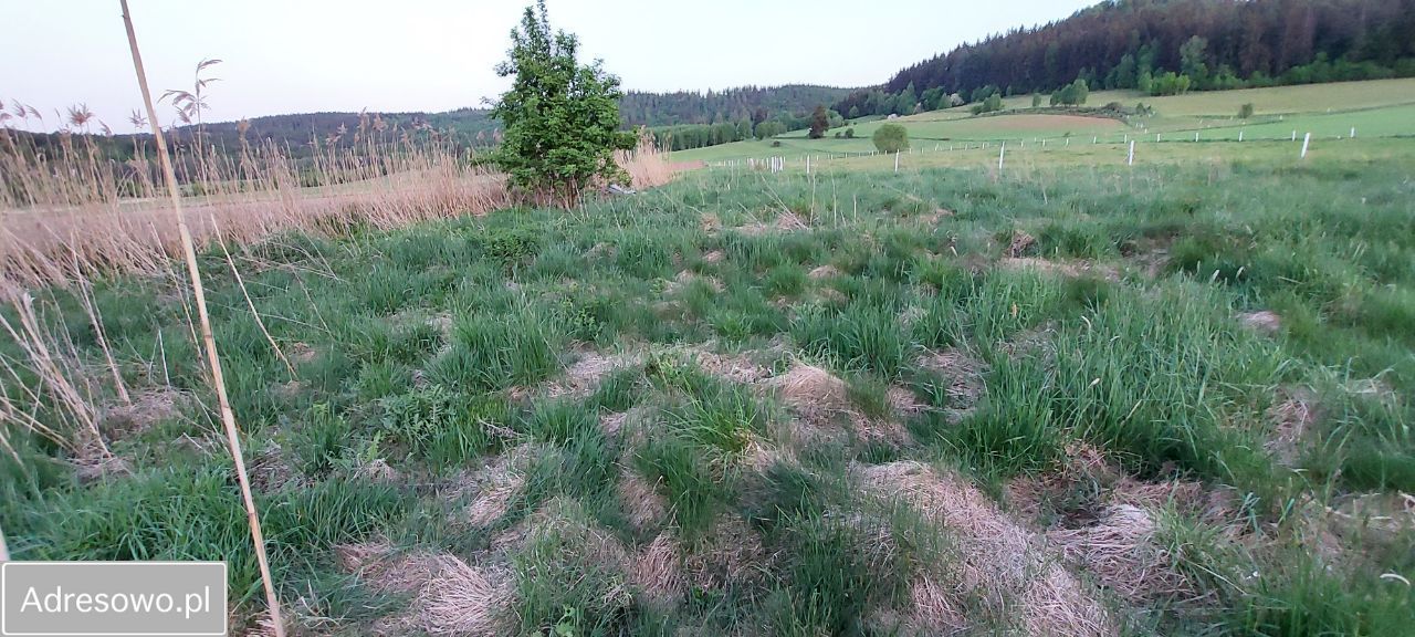 Działka budowlana Wambierzyce Górne Wambierzyce, ul. Wiejska. Zdjęcie 14