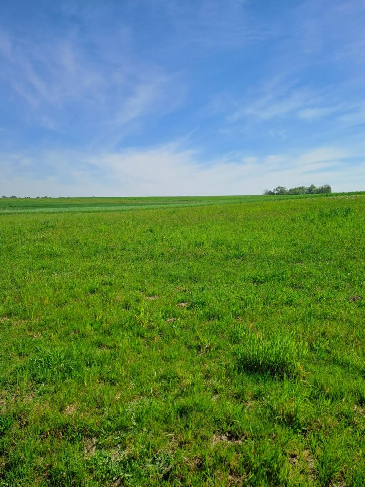Działka budowlana Strożyska Przymiarki. Zdjęcie 14