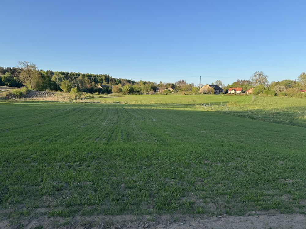 Działka budowlana Radomyśl. Zdjęcie 7