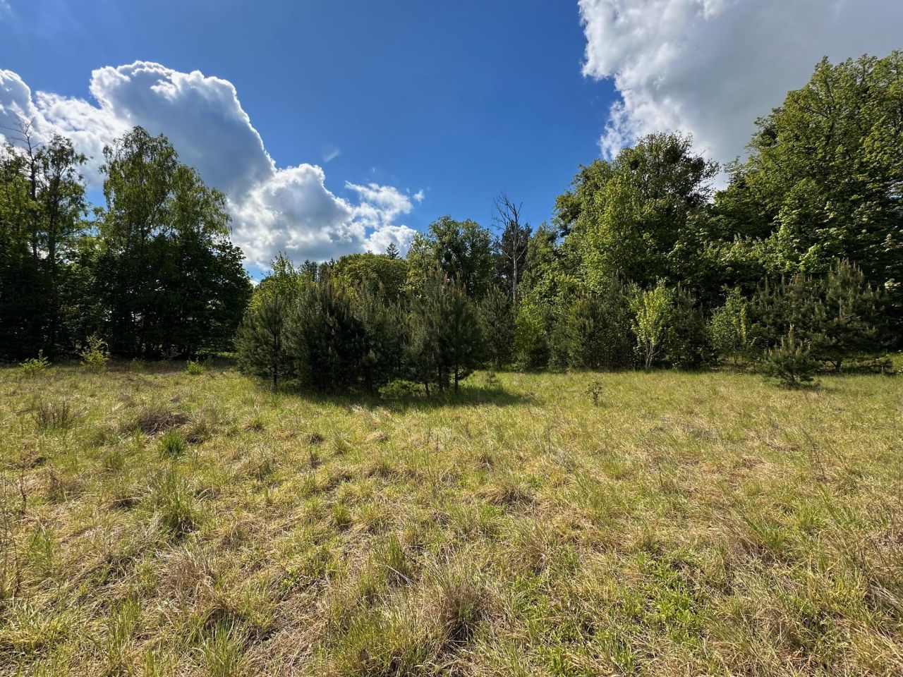 Działka budowlana Kleszczewo, ul. Skarszewska. Zdjęcie 7