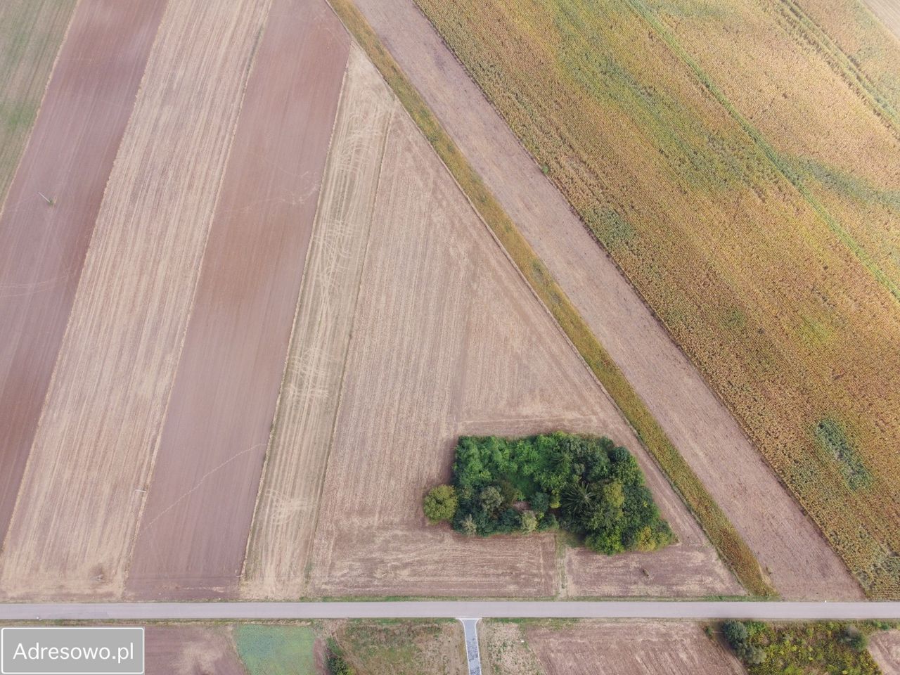 Działka rolno-budowlana Moszna-Kolonia. Zdjęcie 6