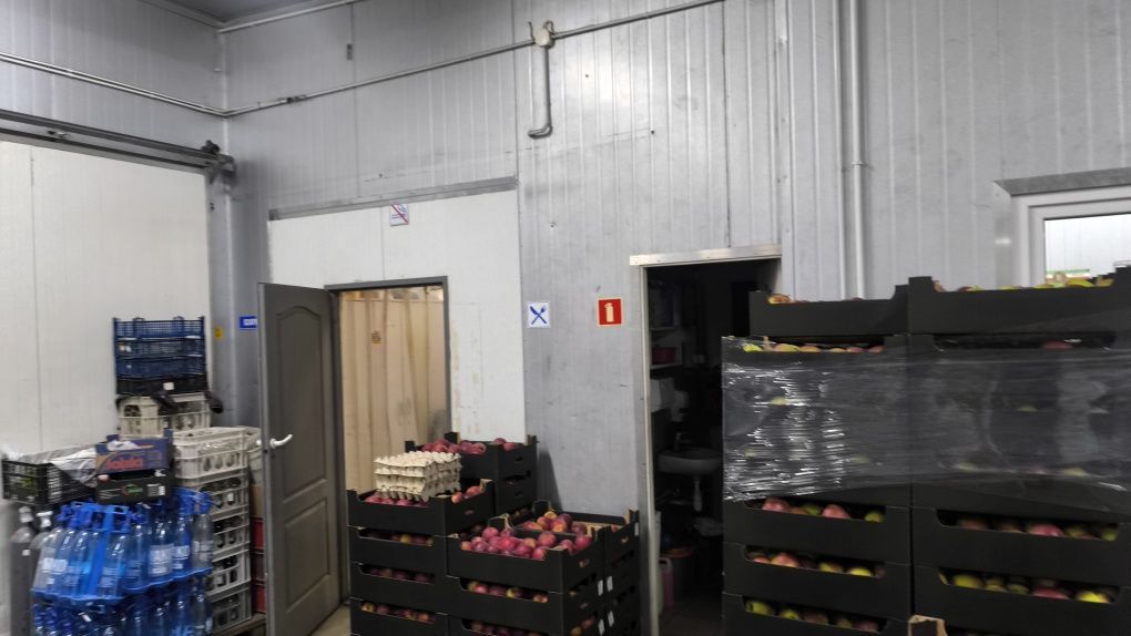 Hala/magazyn Kielce, ul. Zbożowa. Zdjęcie 3