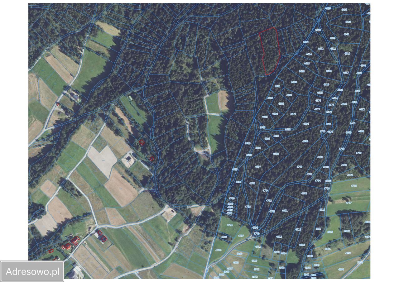 Działka leśna Łętownia