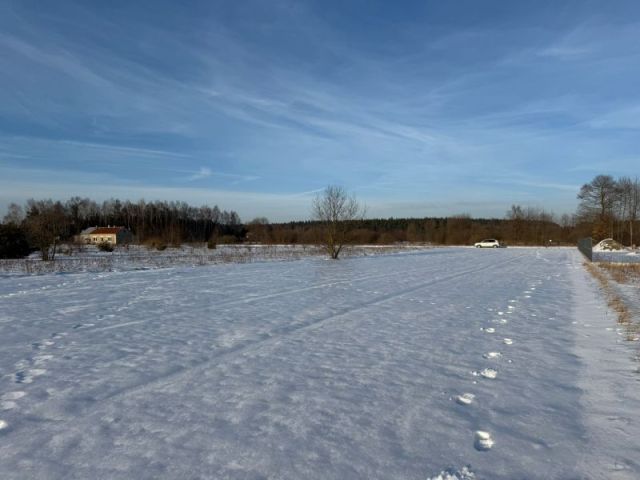 Działka rekreacyjna Huta Nowa. Zdjęcie 8