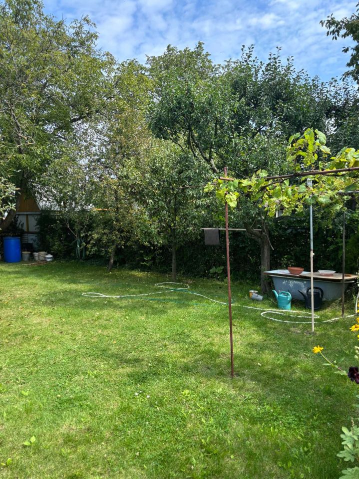 Działka rod Jędrzejów. Zdjęcie 3