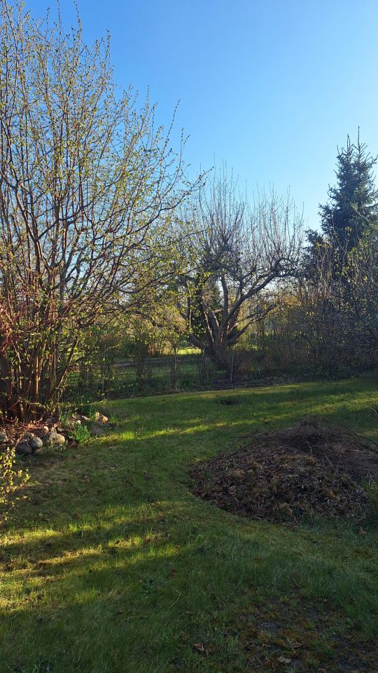 Działka rod Koszalin Północ, ul. Aleja Europejska. Zdjęcie 16