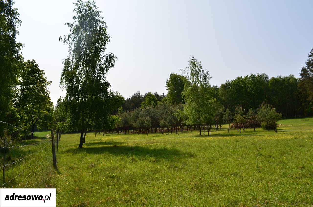 Działka budowlana Białuty. Zdjęcie 7