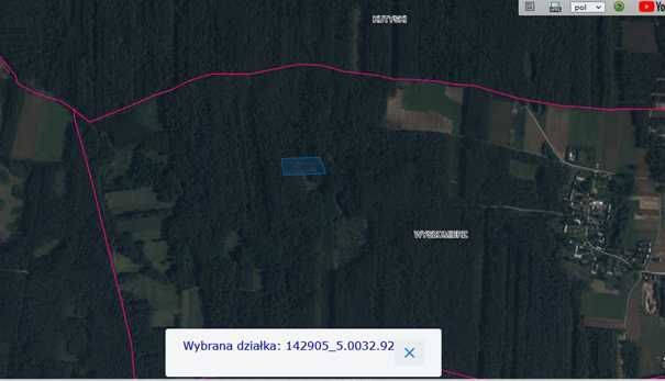 Działka leśna Wyszomierz. Zdjęcie 3