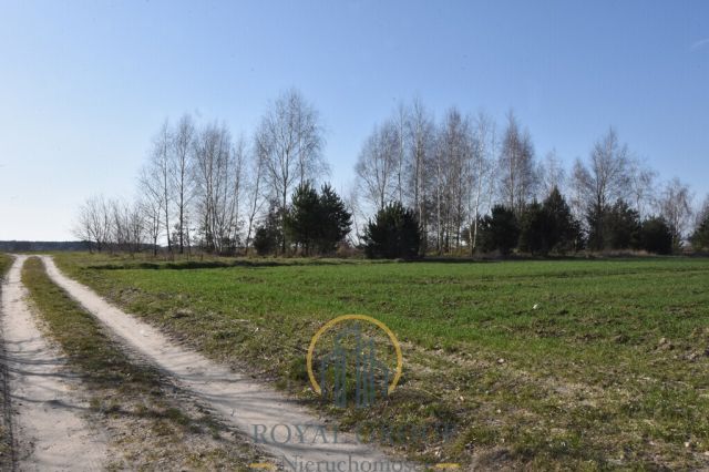 Działka Kunów. Zdjęcie 1