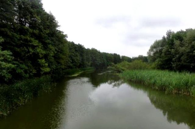 Działka inwestycyjna Grójec Mały. Zdjęcie 7