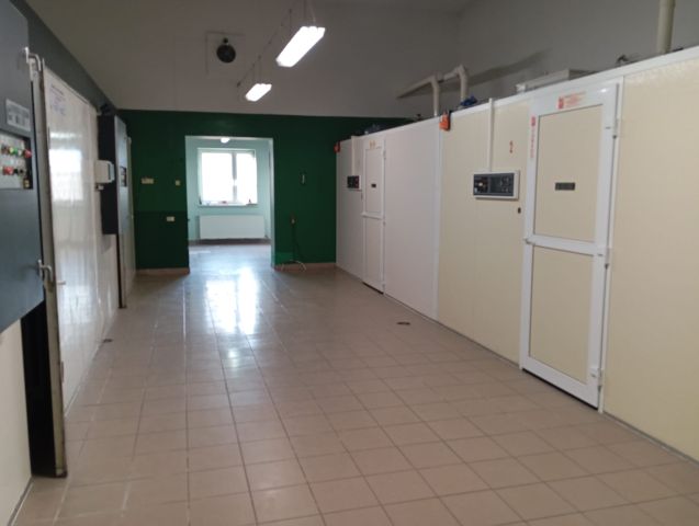 Nieruchomość komercyjna Osiecza Pierwsza. Zdjęcie 3