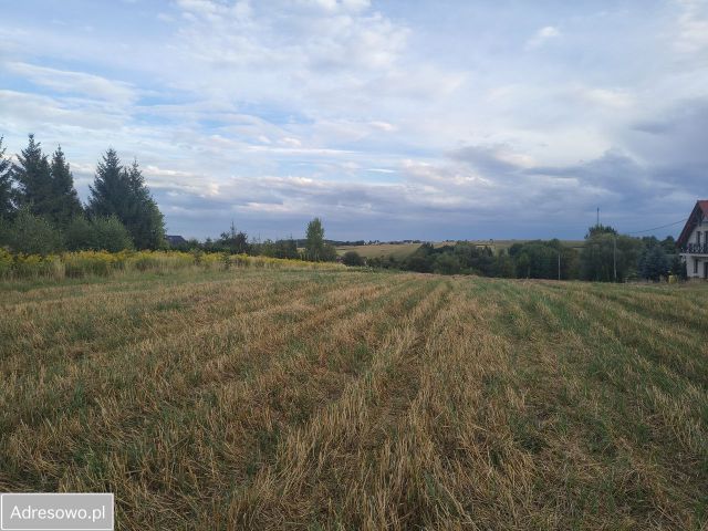 Działka budowlana Łuczyce, ul. Srebrna. Zdjęcie 1