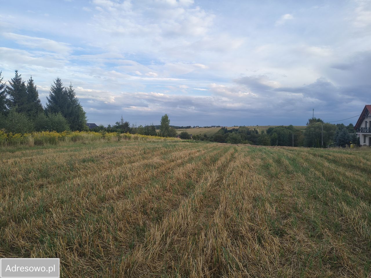 Działka budowlana Łuczyce, ul. Srebrna