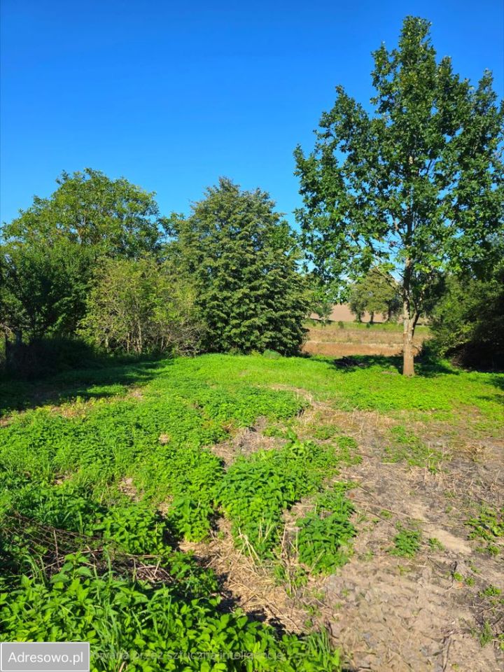 Działka budowlana Tarławki. Zdjęcie 7