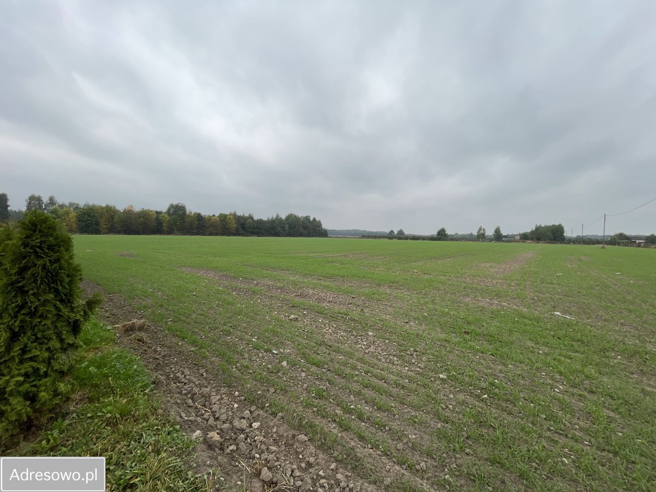 Działka siedliskowa Lesznowola. Zdjęcie 6