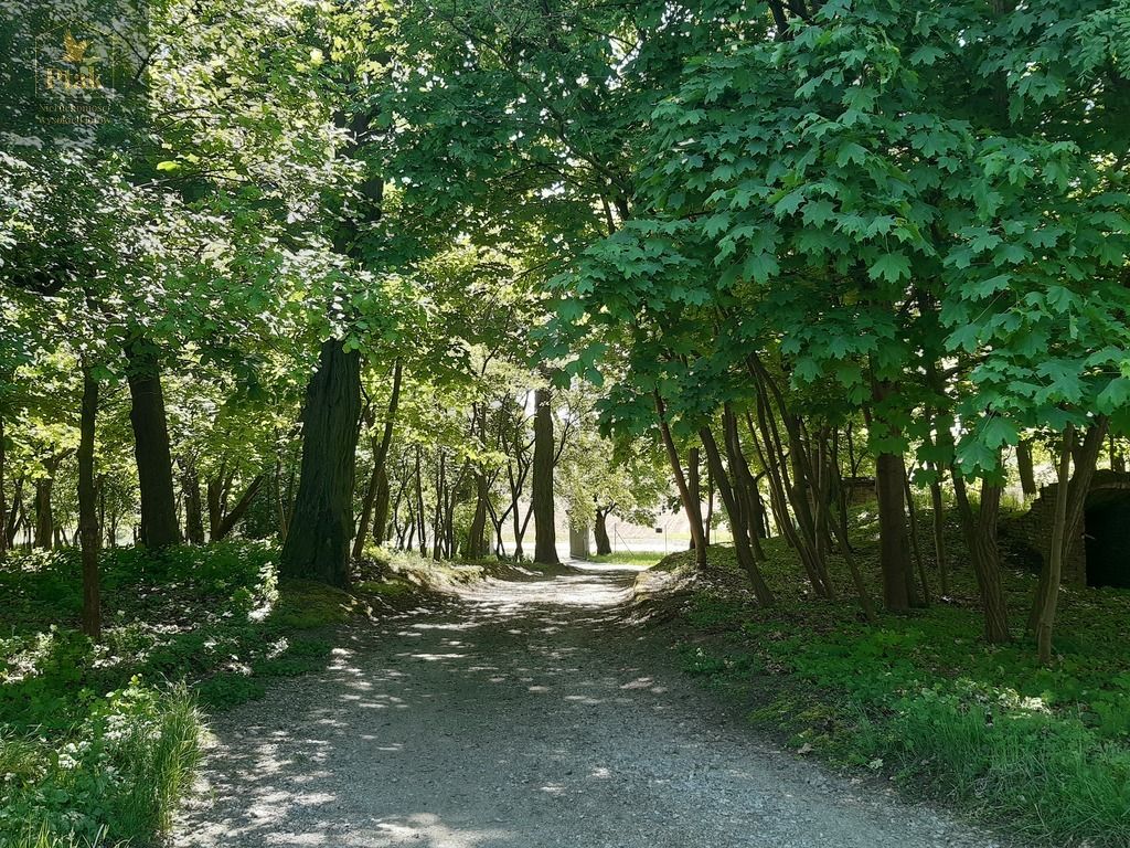 inny, 3 pokoje Luciny. Zdjęcie 11