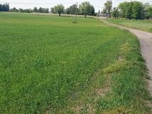 Działka budowlana Trzebiegoszcz. Zdjęcie 3