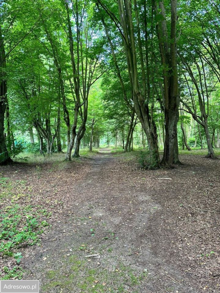 Działka inwestycyjna Bożepole Wielkie, ul. Chmieleniecka. Zdjęcie 9